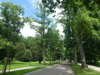 Lichtentaler Allee